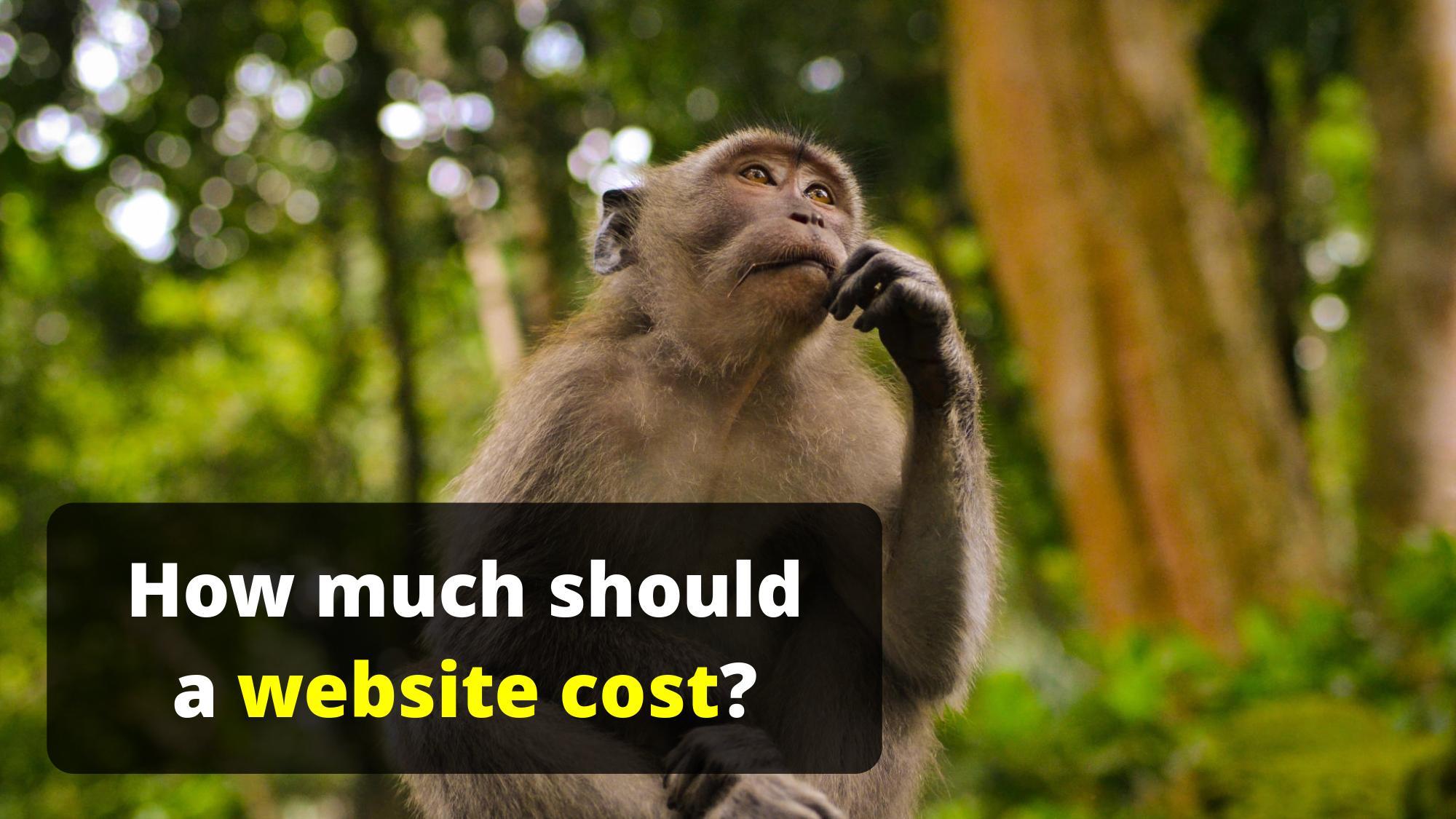 Monkey thinking